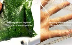 海藻包裝：可持續(xù)發(fā)展的未來(lái)？