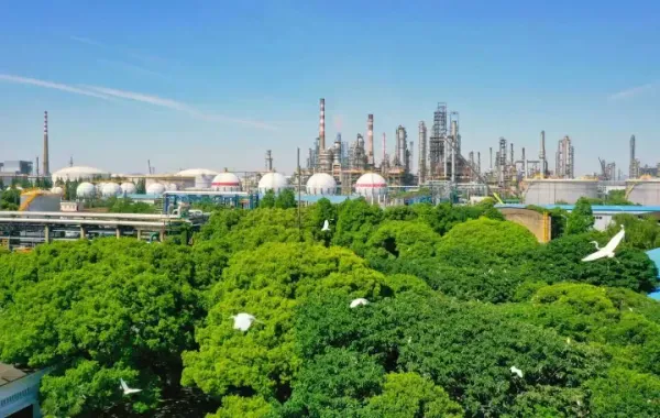 河南許昌東城區：綠色工廠“綠”意盎然