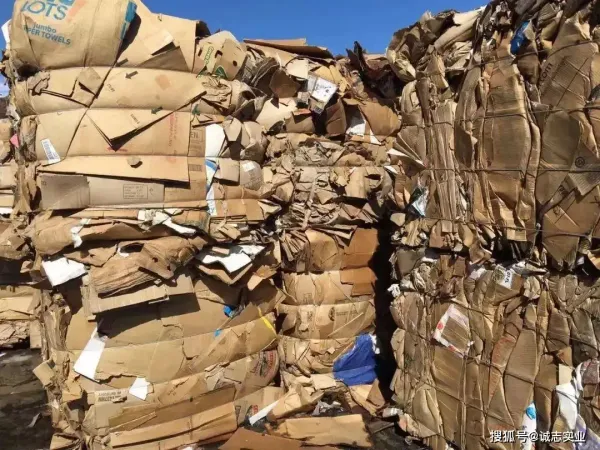 美國(guó)新增5家箱板紙廠：對(duì)全球OCC價(jià)格和市場(chǎng)格局的影響！