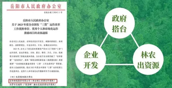 岳陽林紙2023年實現營收86.41億元 碳匯業務崛起成為新增長極